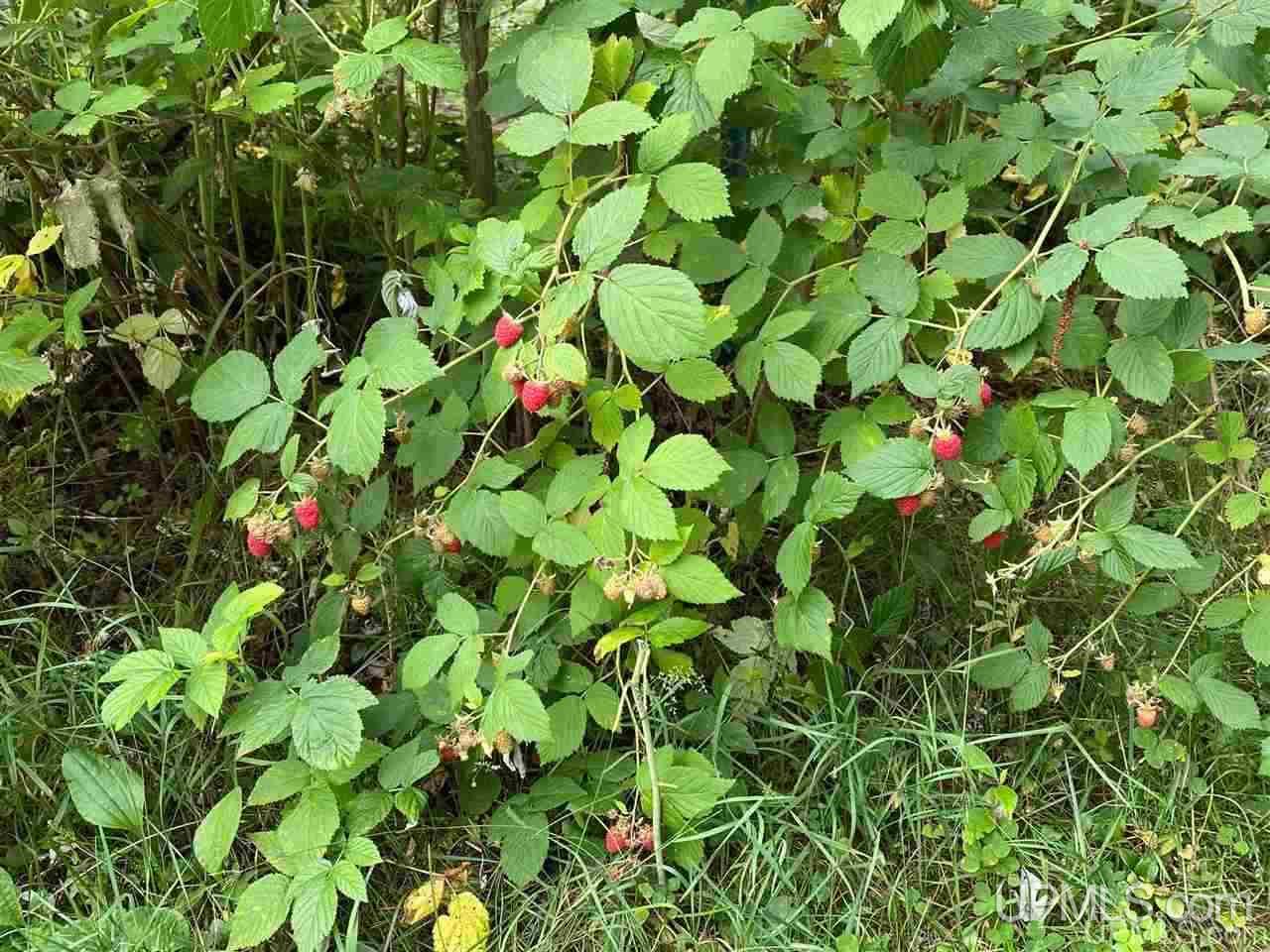 331 East County Road Negaunee, MI 49866 - Photo 13 of 48 Gallery Image 13