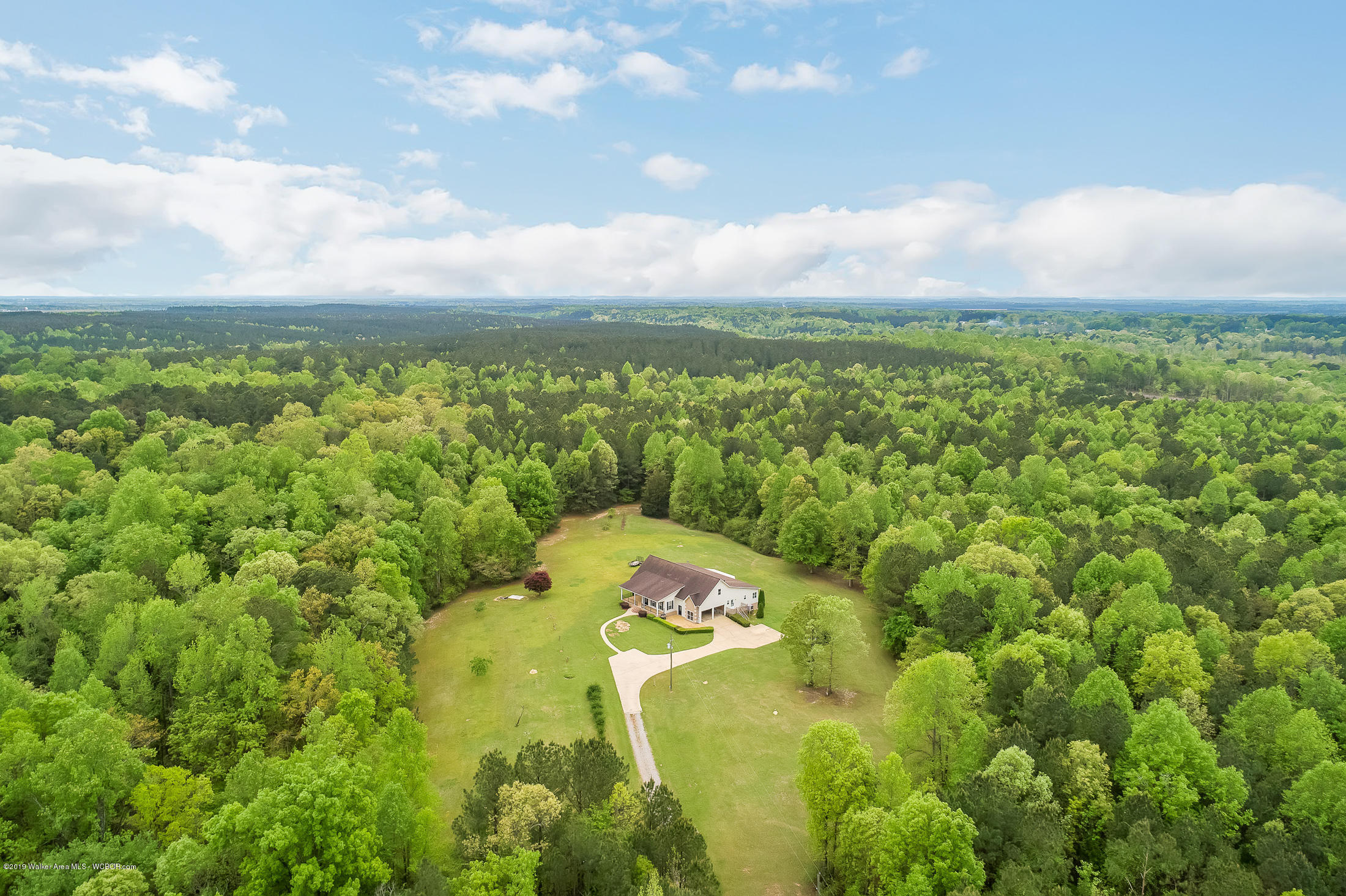 4823 Bird Farm Road Jasper, AL 35503 - Photo 7 of 40 Gallery Image 7