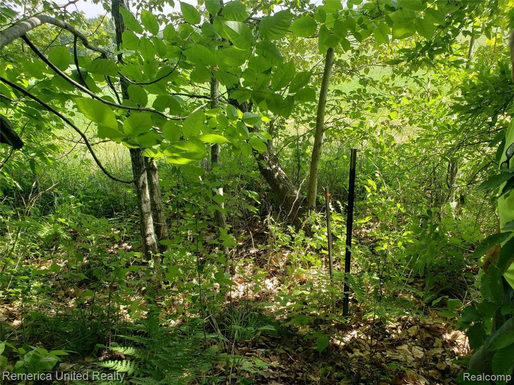 2469 East Spruce Road Spruce, MI 48762 - Photo 12 of 48