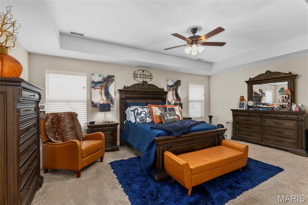 7000 Windstar Court O'Fallon, IL 62269 - Photo 22 of 46