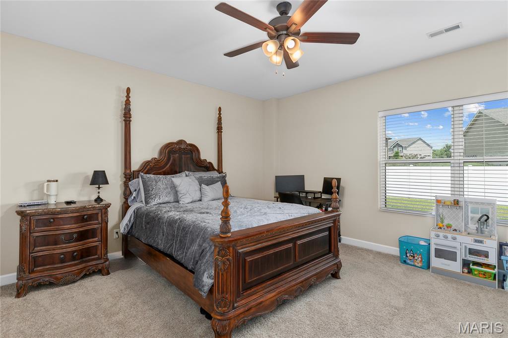 7000 Windstar Court O'Fallon, IL 62269 - Photo 34 of 46