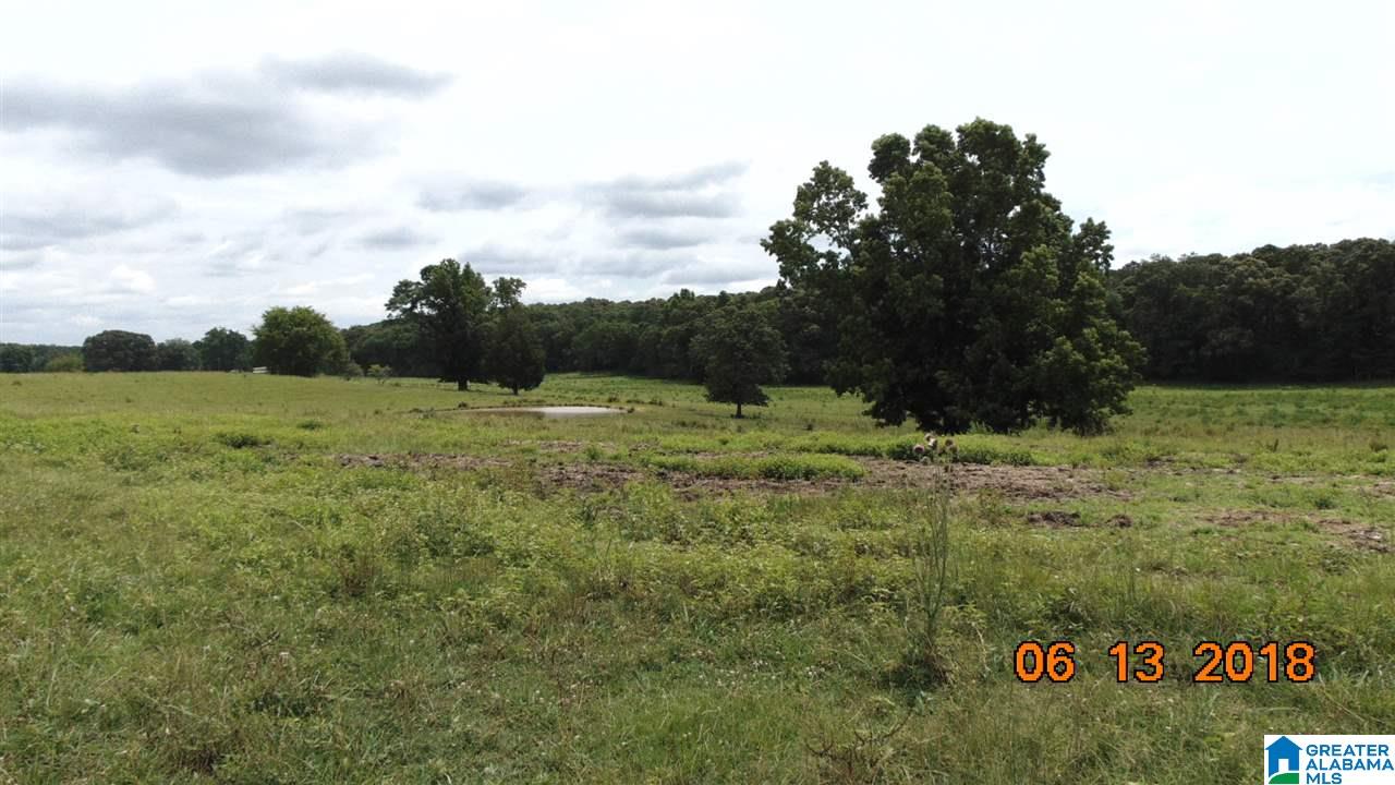 0 West Ashby Road Brierfield, AL 35035 - Photo 17 of 22