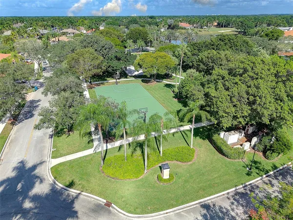 a view of a swimming pool with a yard and plants