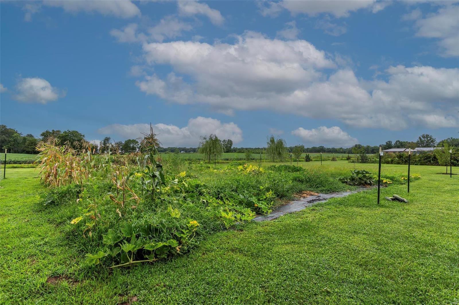 3992 Fosterburg Road Alton, IL 62002 - Photo 45 of 51