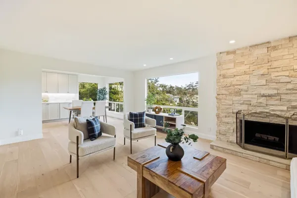 a living room with furniture and a potted plant