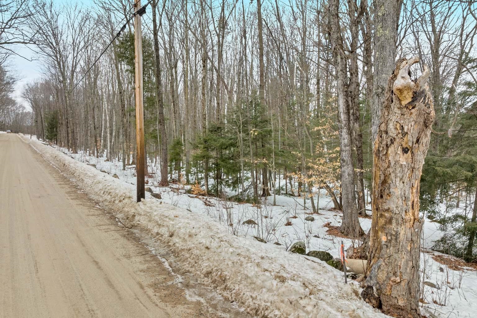 Lot 16 Raccoon Hill Road Salisbury, NH 03268 - Photo 15 of 15