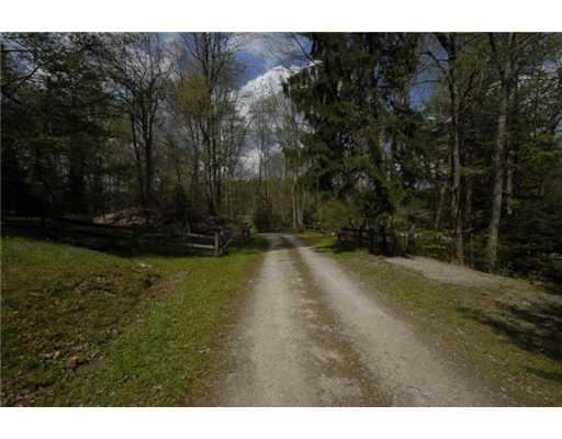 187 Ohiopyle Road Ohiopyle, PA 15470 - Photo 11 of 13 Land/Lot.