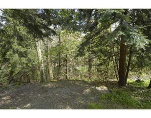 187 Ohiopyle Road Ohiopyle, PA 15470 - Photo 10 of 13 Land/Lot.