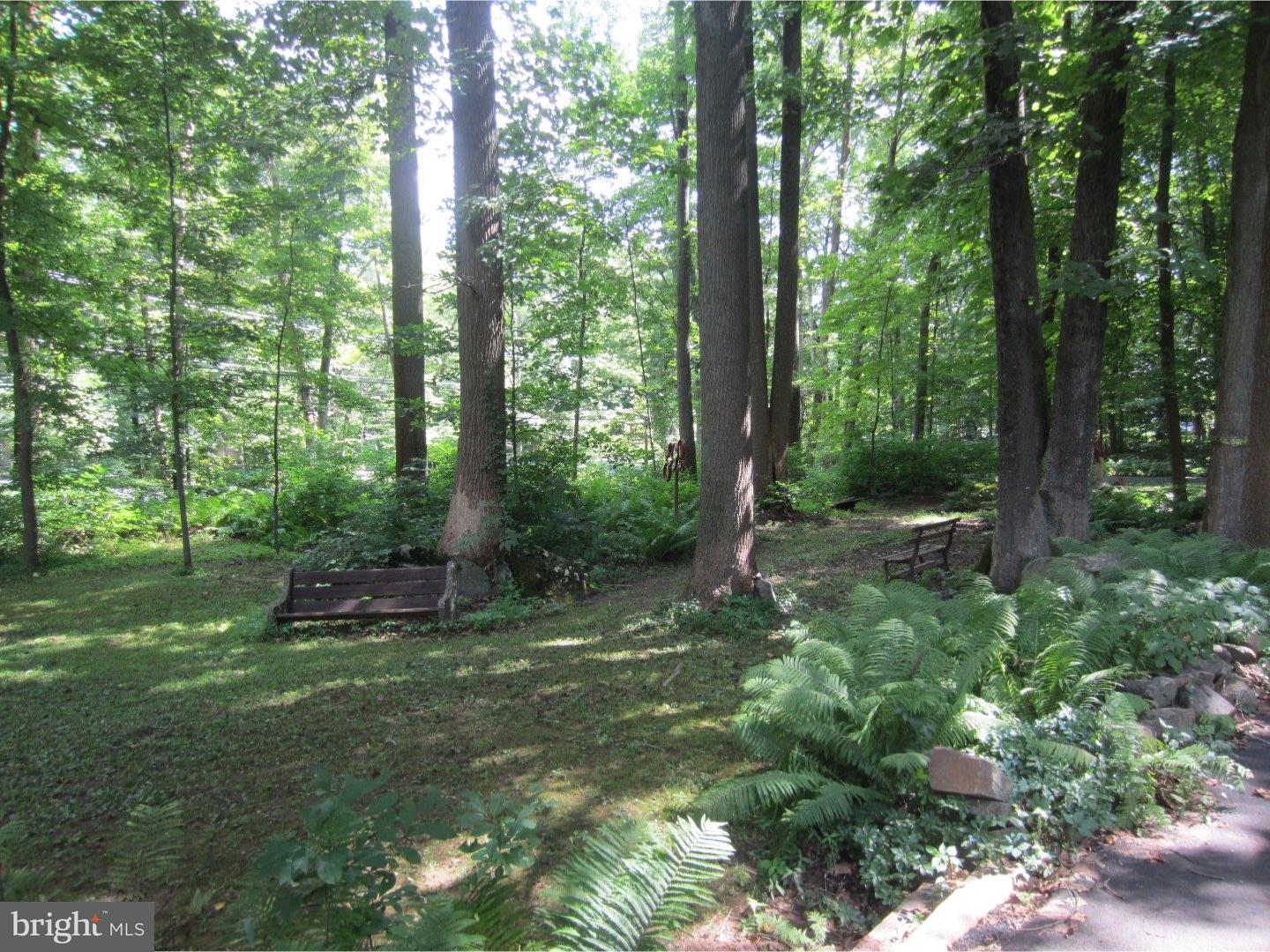 936 West Thatcher Road Quakertown, PA 18951 - Photo 5 of 24 Back Yard