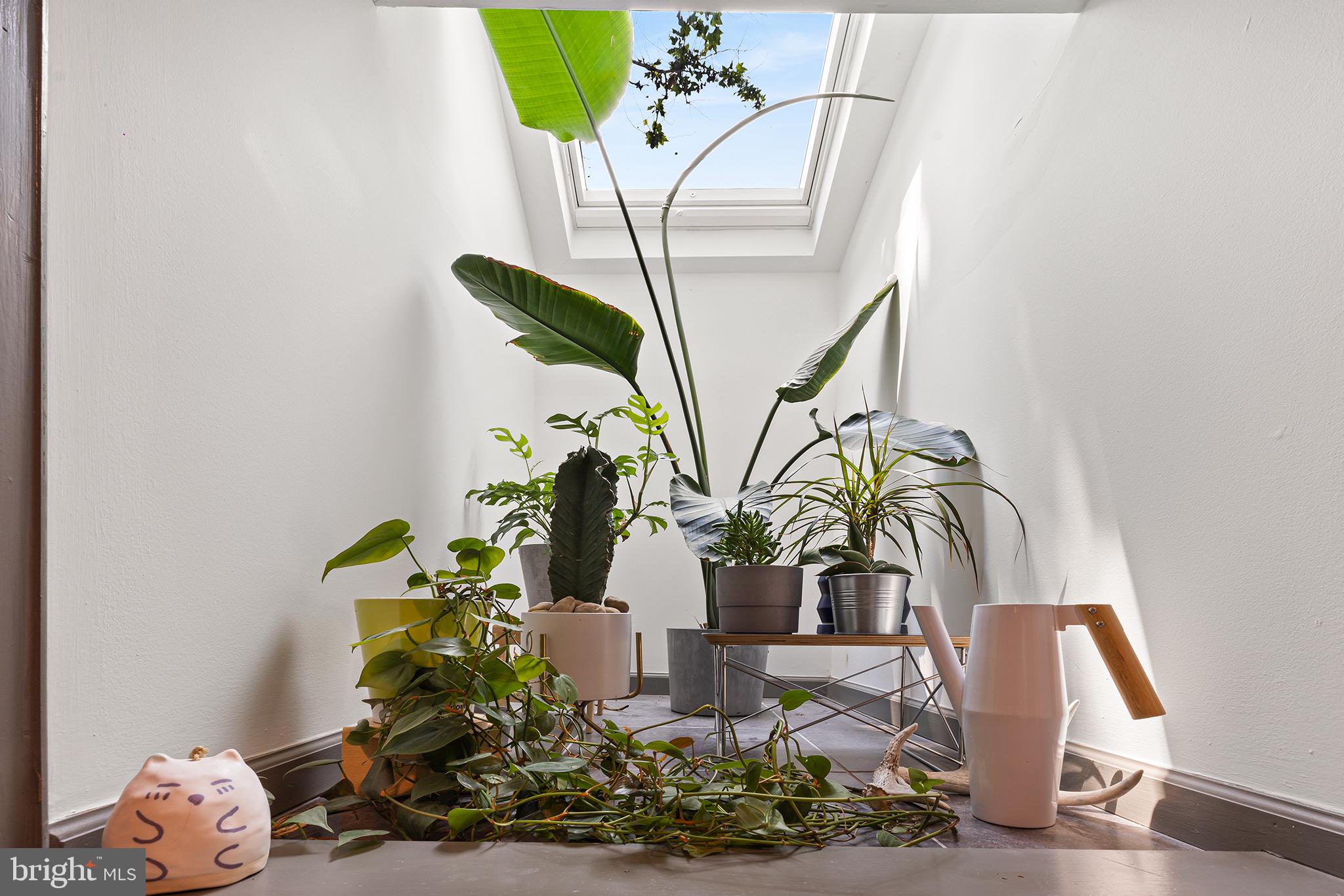 617 Reed Street, Unit 100 Philadelphia, PA 19147 - Photo 16 of 24