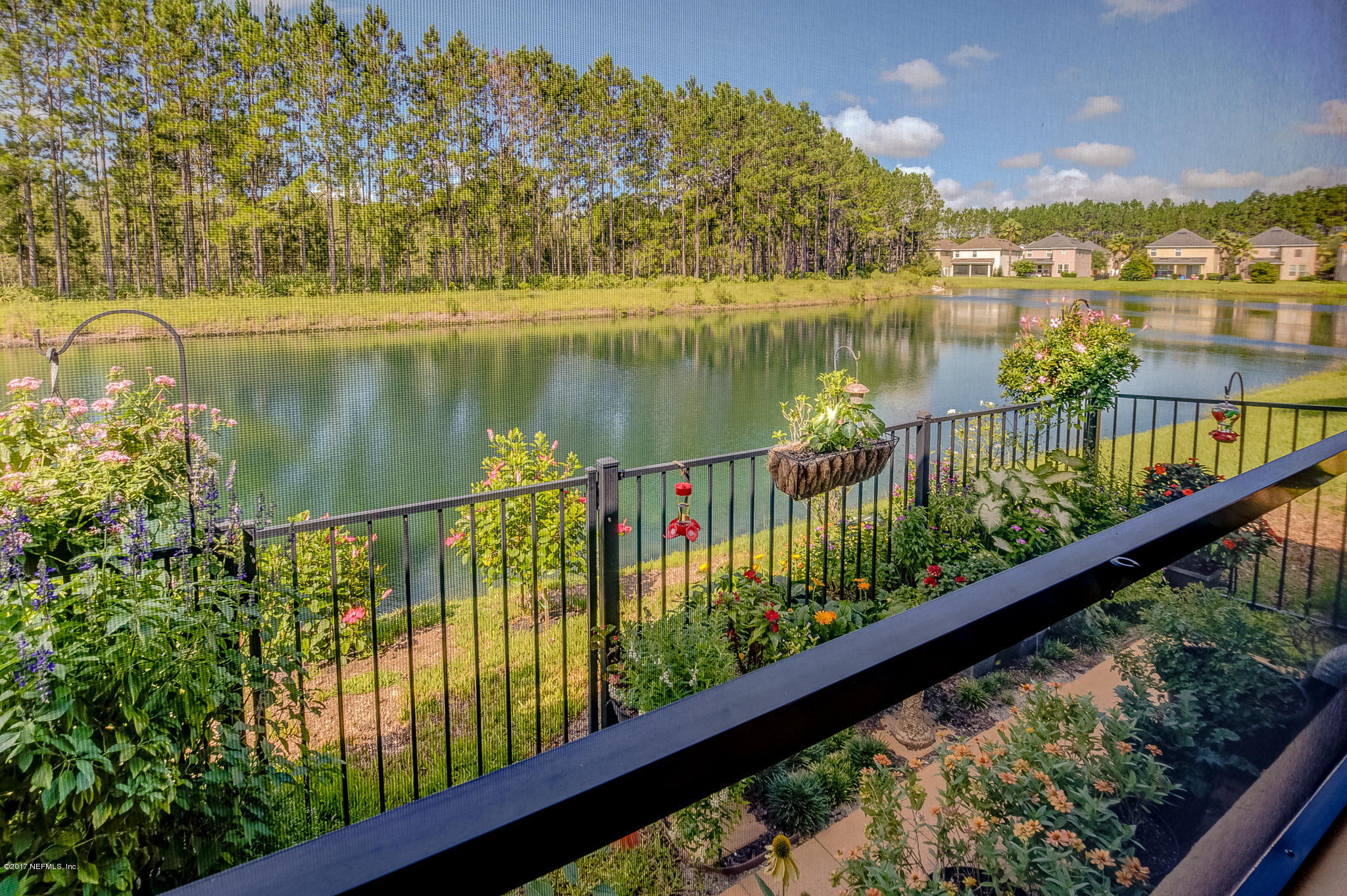 3819 Chasing Falls Road Orange Park, FL 32065 - Photo 25 of 29 Patio View