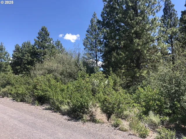 a view of a street that has lots of bushes