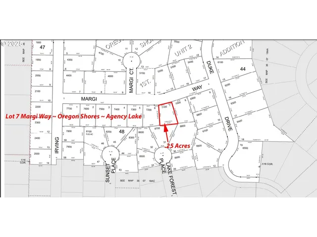 a black and white photo of a painting