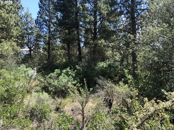 $18,000 | Margi Way, Unit 7, Chiloquin, OR 97624