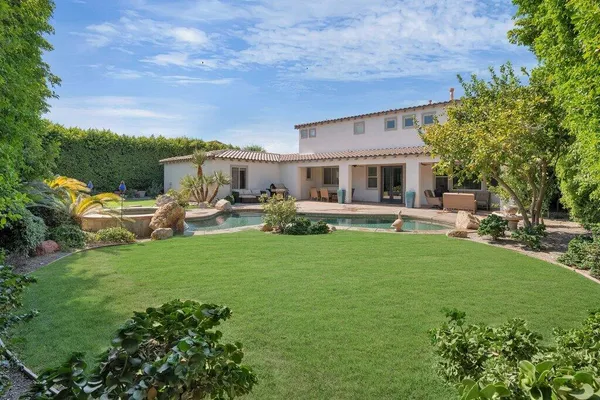 a view of a garden with a tree