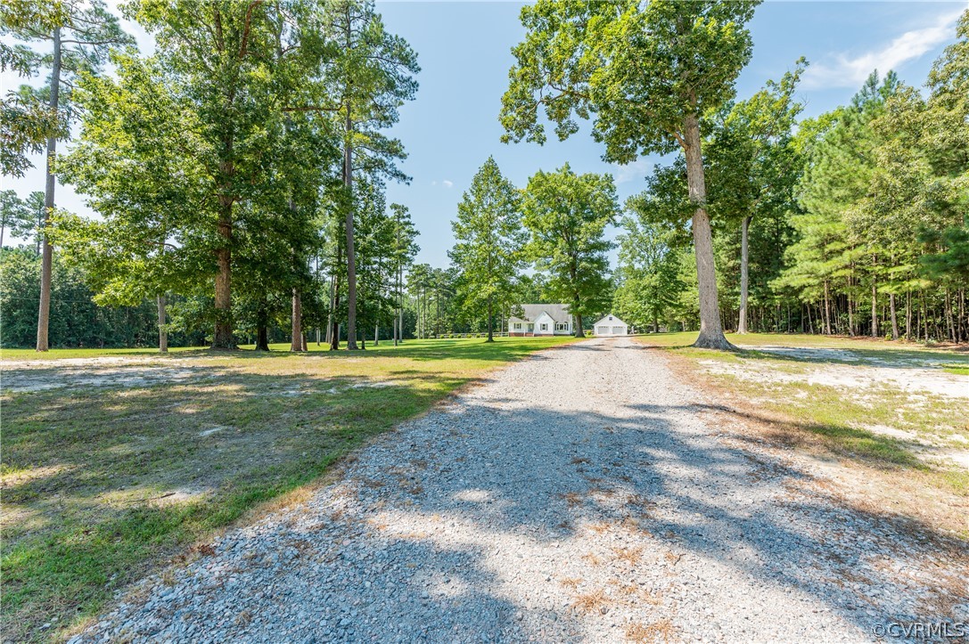 19070 Halifax Road Carson, VA 23830 - Photo 43 of 43 a view of outdoor space with trees