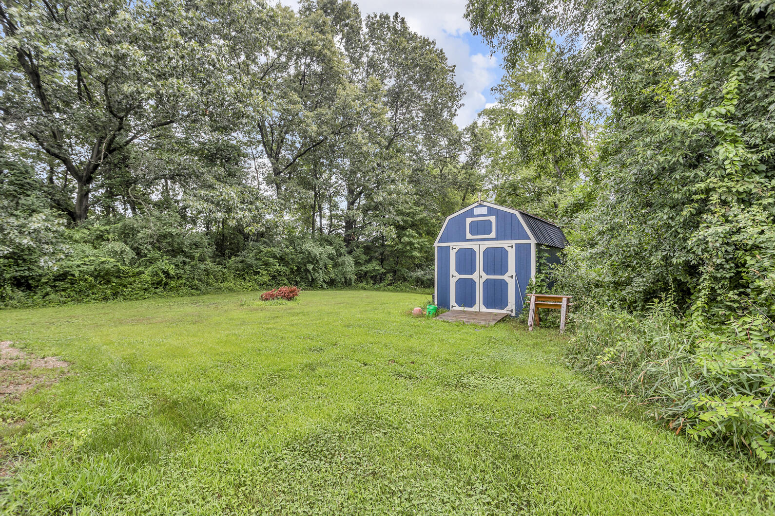 955 Crispell Road Clarklake, MI 49234 - Photo 3 of 33 0N0A1209