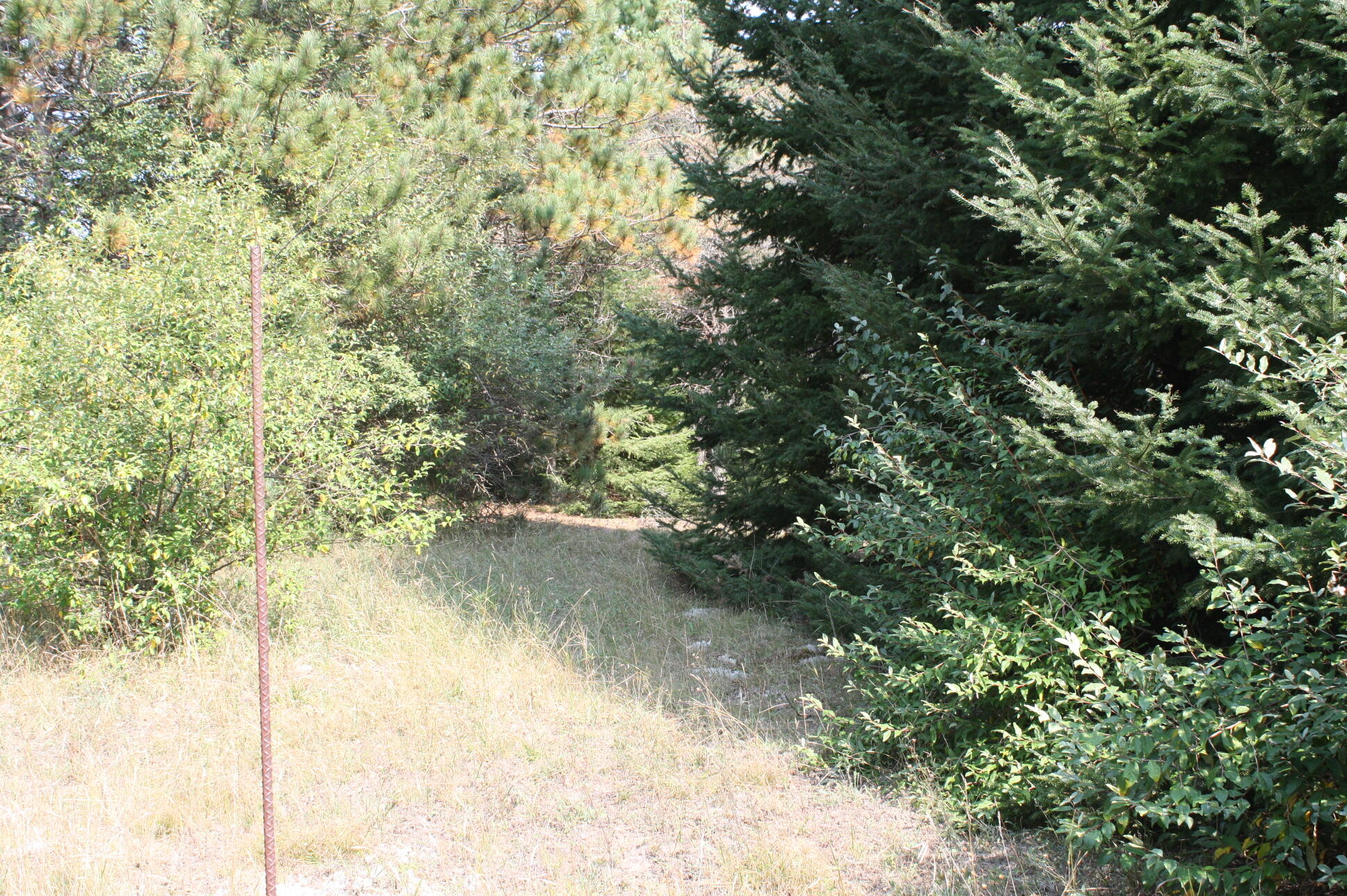 0 North Barlow Road Harrisville, MI 48740 - Photo 12 of 15 Gallery Image 12