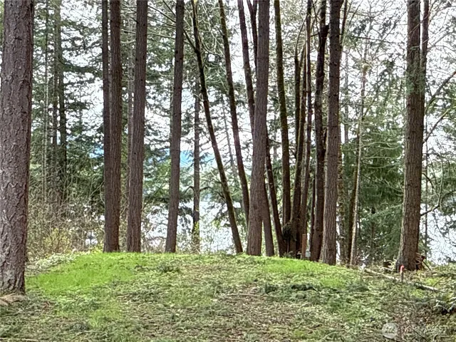 $99,500 | 18243 Suncrest Court Southeast, Yelm, WA 98597