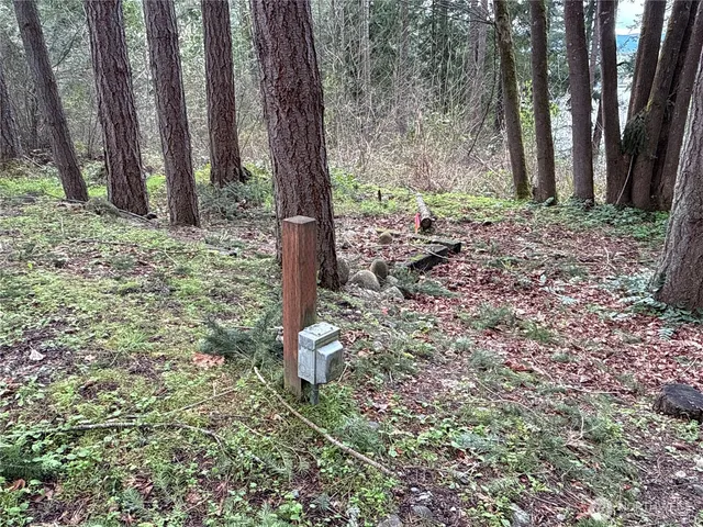 $99,500 | 18243 Suncrest Court Southeast, Yelm, WA 98597