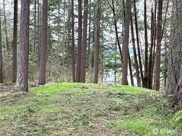 $99,500 | 18243 Suncrest Court Southeast, Yelm, WA 98597