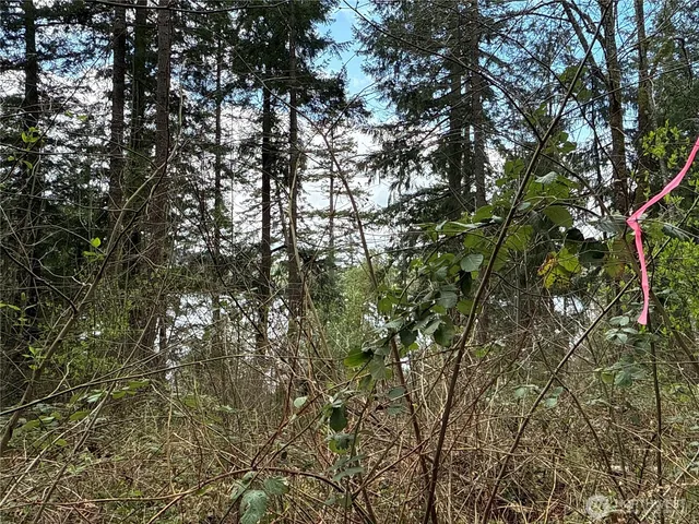 $99,500 | 18243 Suncrest Court Southeast, Yelm, WA 98597