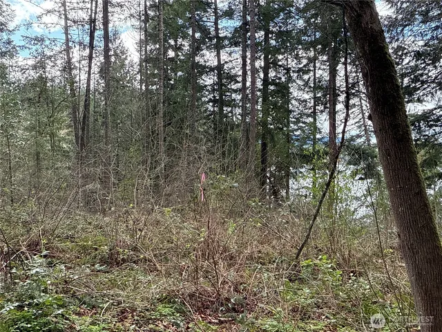 $99,500 | 18243 Suncrest Court Southeast, Yelm, WA 98597