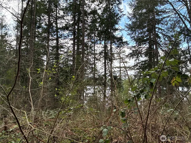 $99,500 | 18243 Suncrest Court Southeast, Yelm, WA 98597