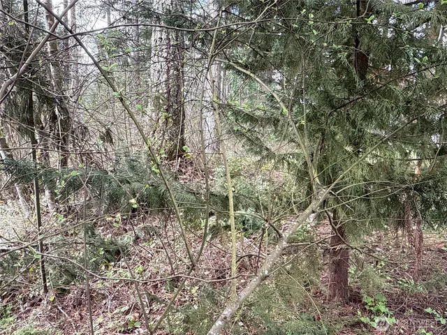 $99,500 | 18243 Suncrest Court Southeast, Yelm, WA 98597