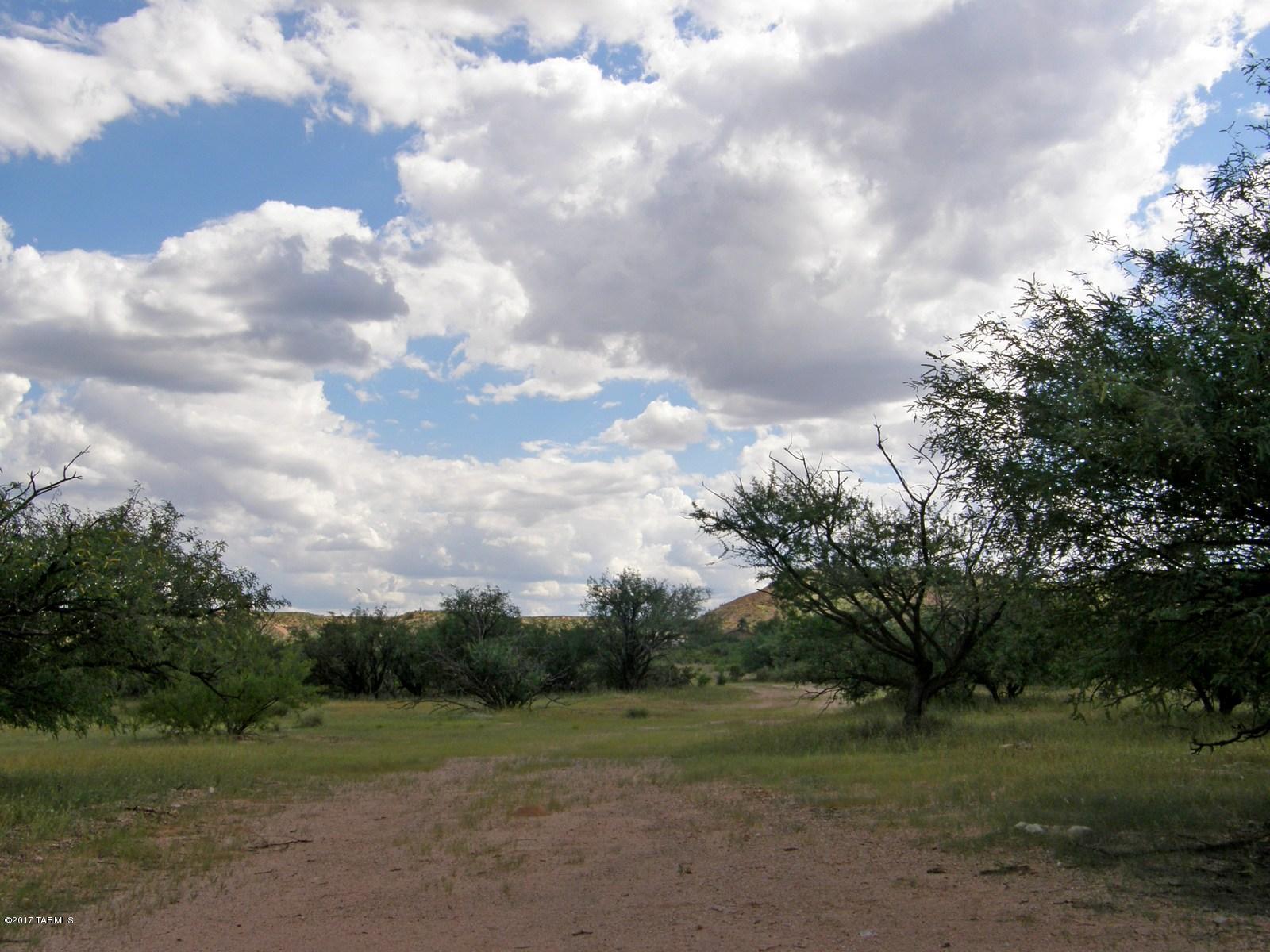Tbd South Homestead Road St. David, AZ 85630 - Photo 2 of 13
