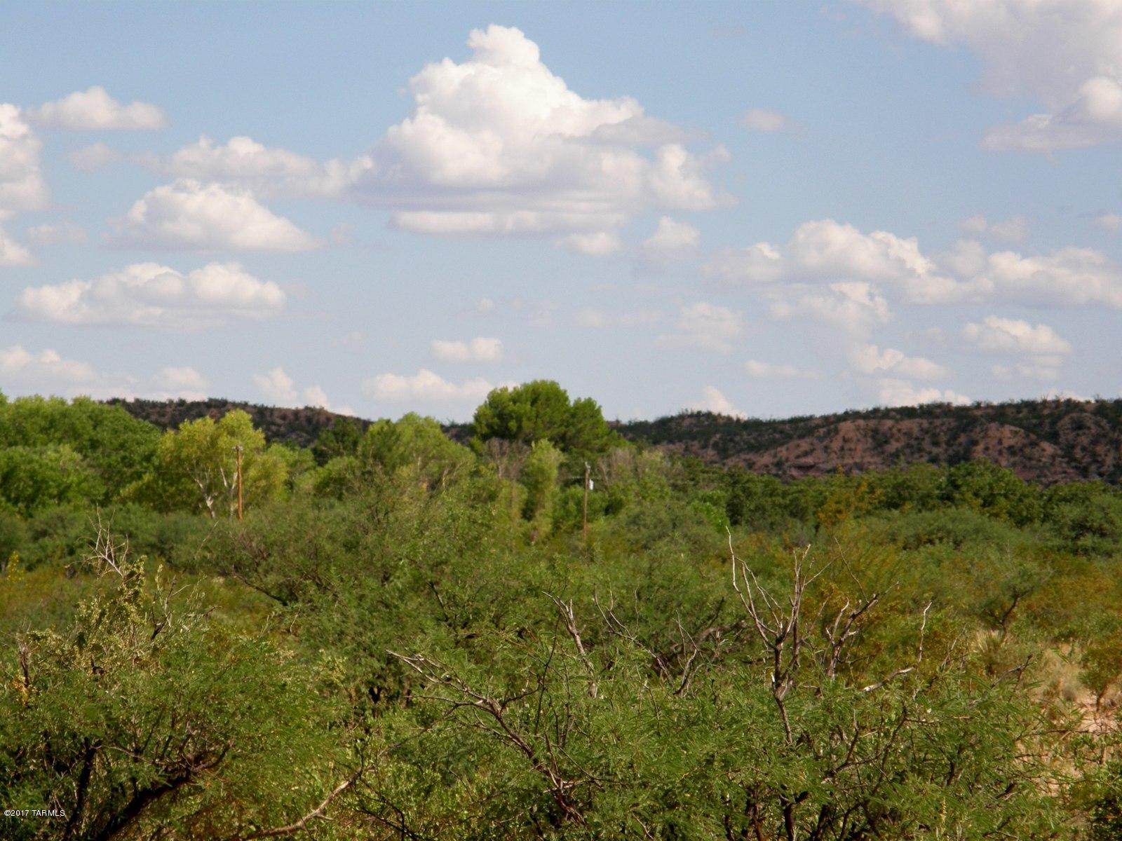 Tbd South Homestead Road St. David, AZ 85630 - Photo 10 of 13