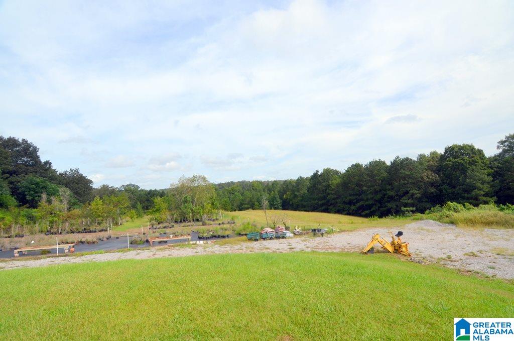1155 Walkers Crossing Road Pell City, AL 35128 - Photo 8 of 37
