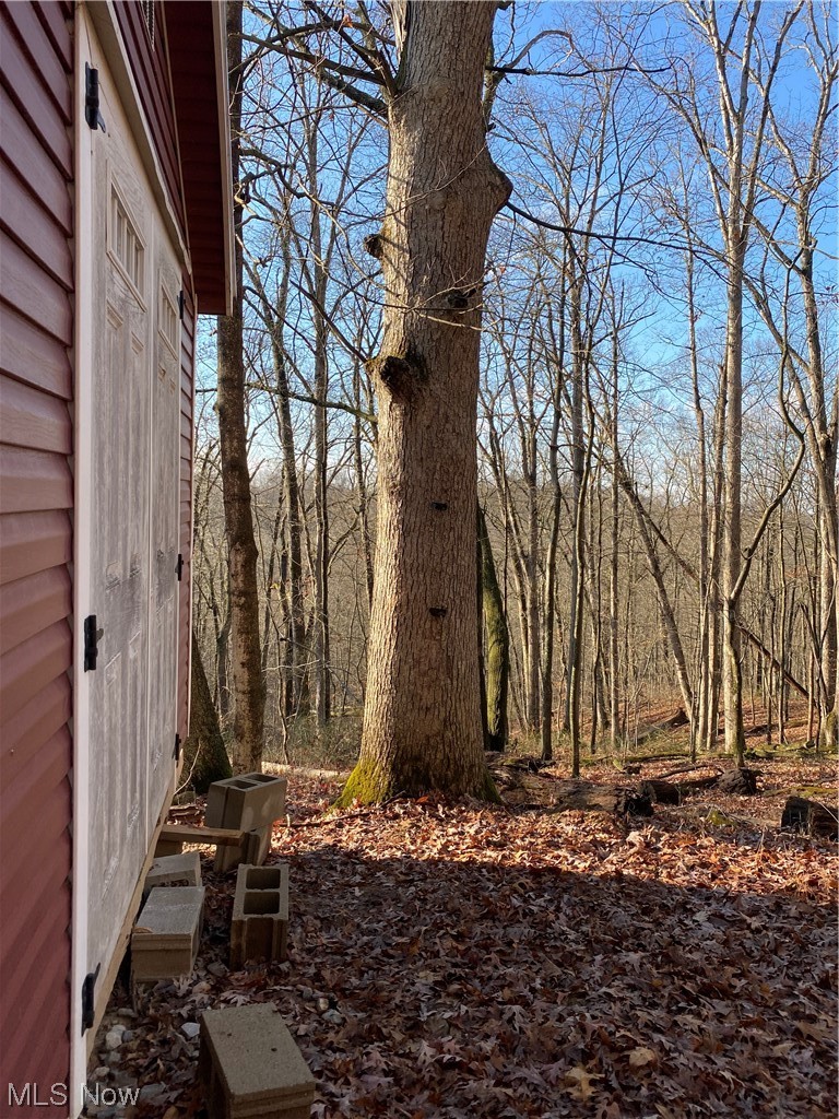 0 Shay Ridge Road New Matamoras, OH 45767 - Photo 18 of 29 View of yard