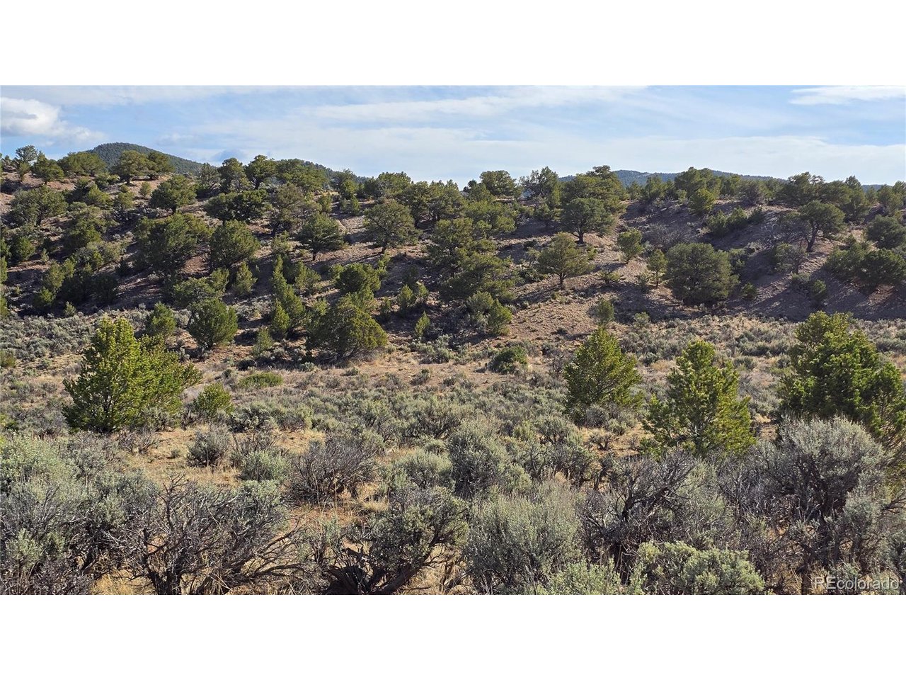 7340 Sweany Road Fort Garland, CO 81133 - Photo 23 of 31