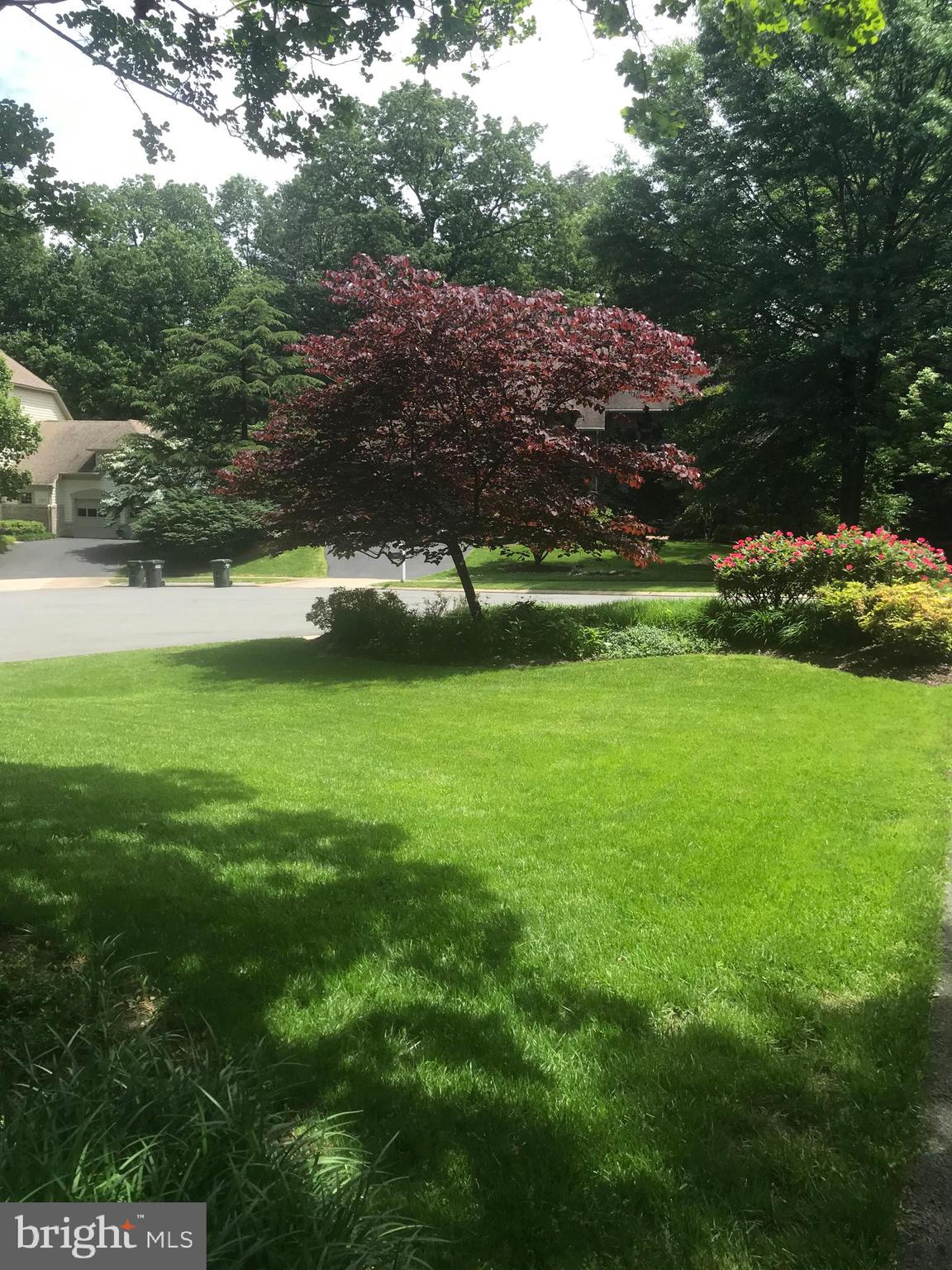 1308 Sawbridge Way Reston, VA 20194 - Photo 2 of 61 View of front yard