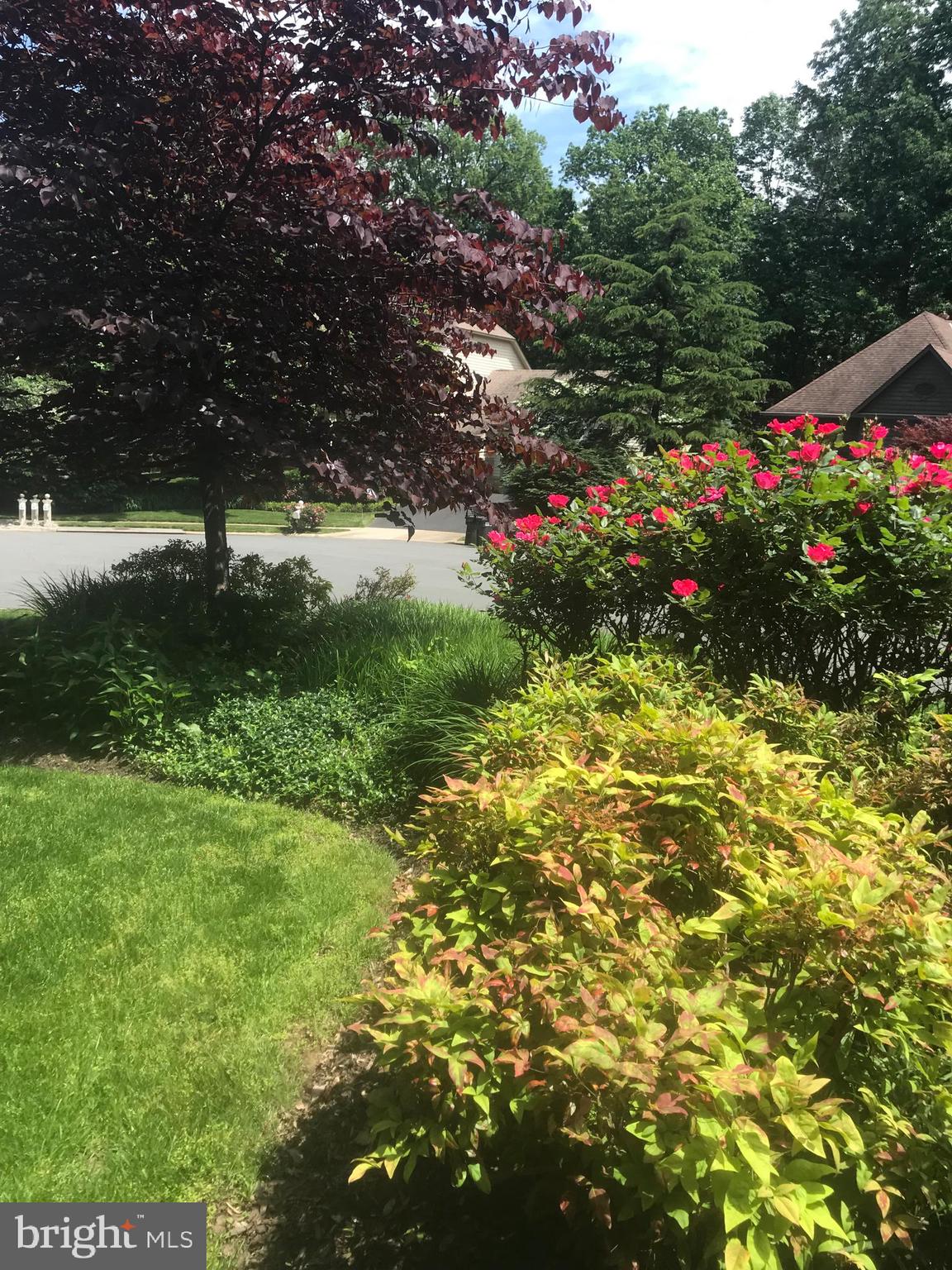 1308 Sawbridge Way Reston, VA 20194 - Photo 6 of 61 More lushlandscaping