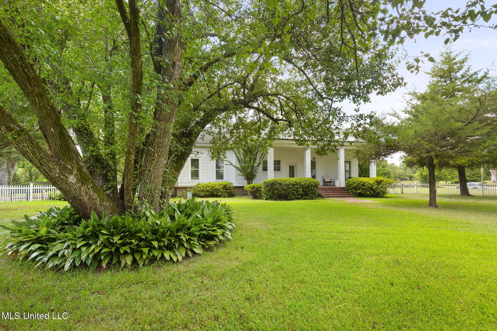 818 Cannon Avenue Bentonia, MS 39040 - Photo 104 of 110 Backyard 14