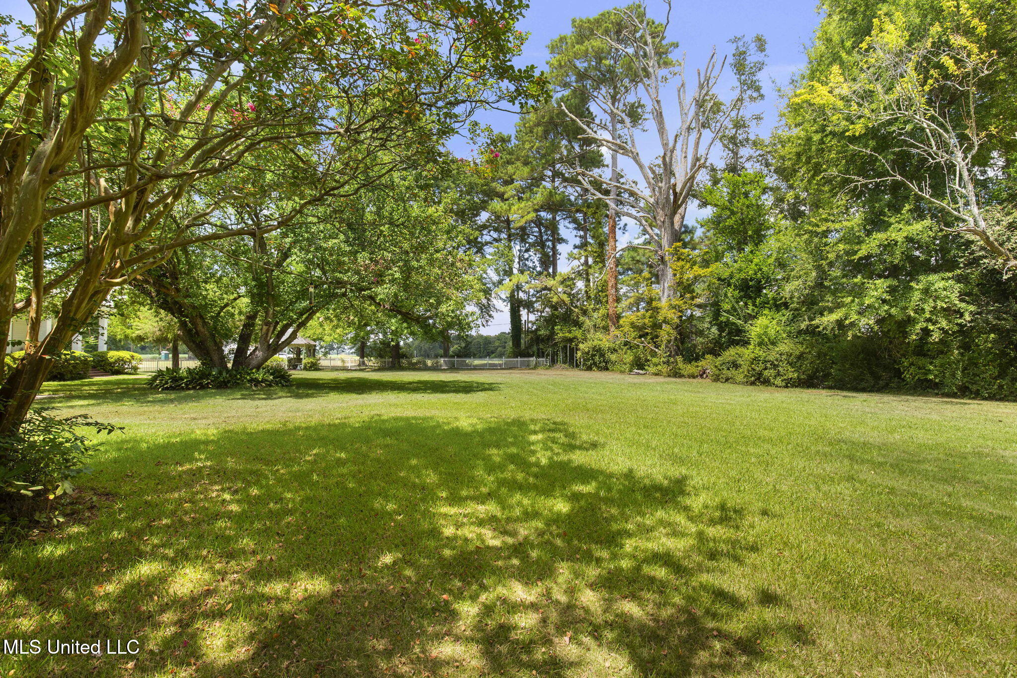 818 Cannon Avenue Bentonia, MS 39040 - Photo 108 of 110 Backyard 18