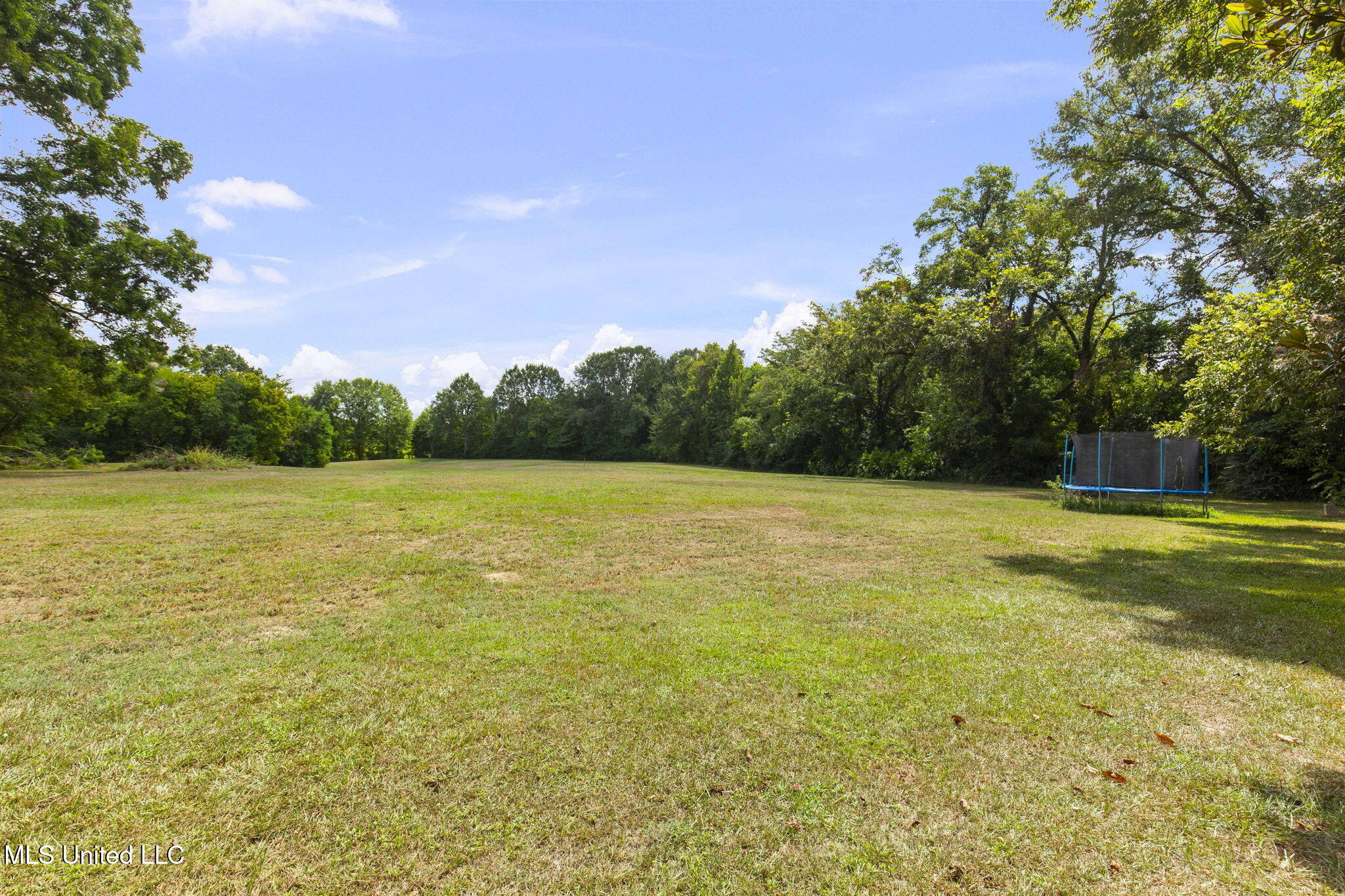818 Cannon Avenue Bentonia, MS 39040 - Photo 109 of 110 Backyard 19