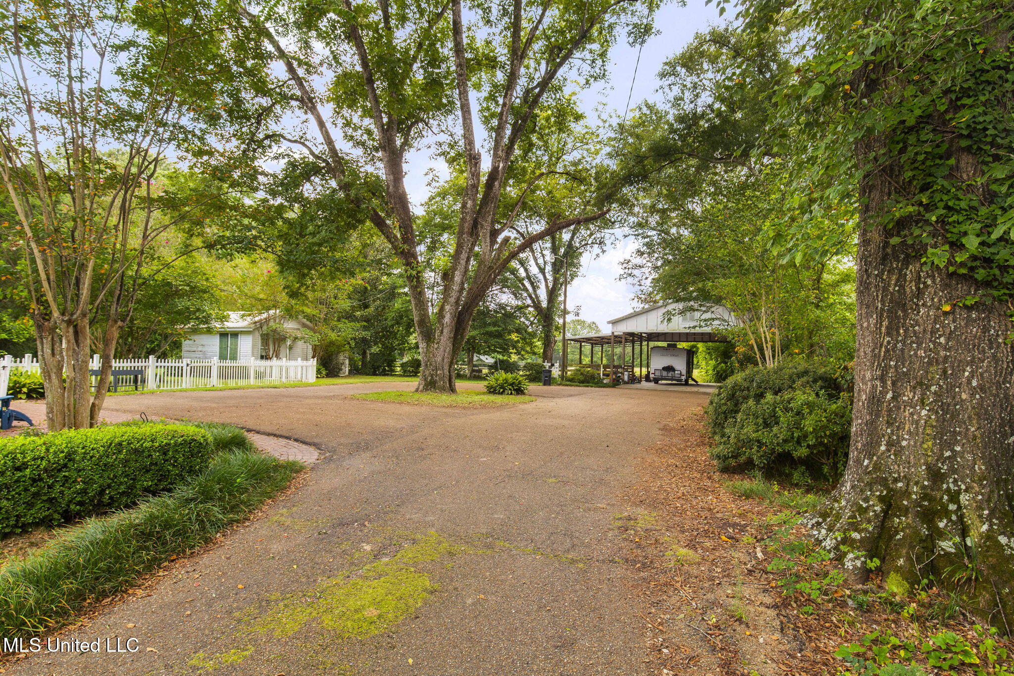 818 Cannon Avenue Bentonia, MS 39040 - Photo 110 of 110 Backyard 20