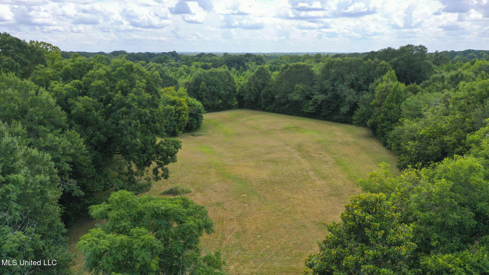 818 Cannon Avenue Bentonia, MS 39040 - Photo 18 of 110 Drone 10