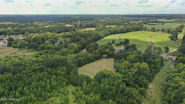 $395,000 | 818 Cannon Avenue, Bentonia, MS 39040