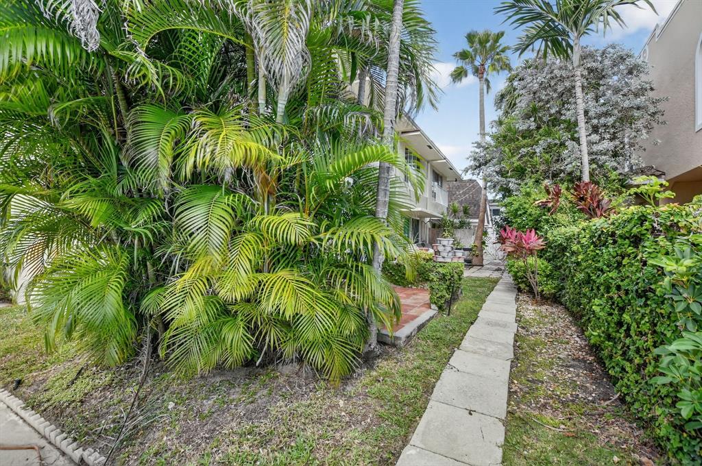 596 Southeast 20th Avenue, Unit 4 Deerfield Beach, FL 33441 - Photo 49 of 51 a view of a garden with plants
