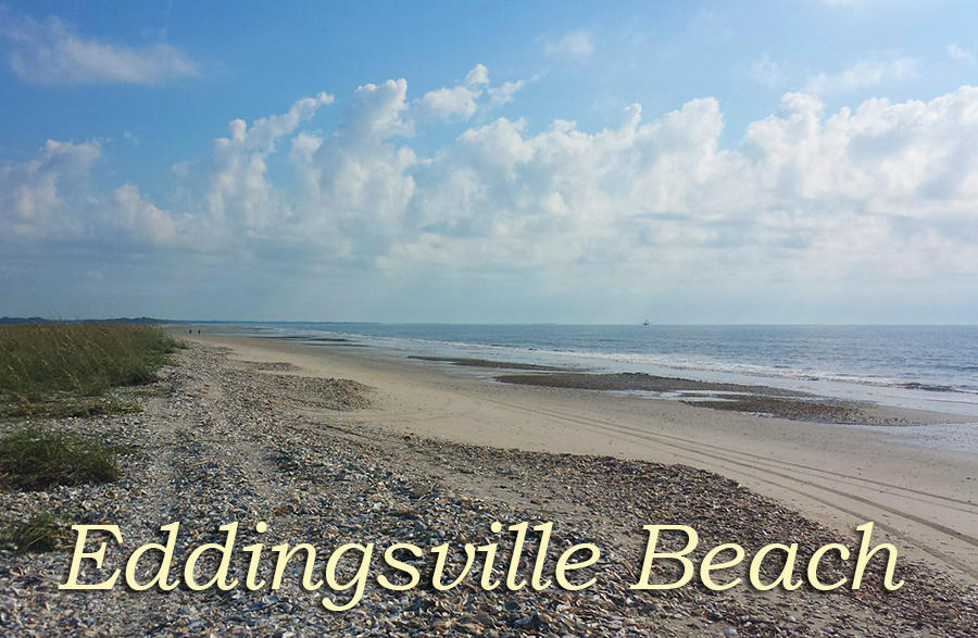 5 Inlet Point Road, Unit 2 Edisto Island, SC 29438 - Photo 53 of 58 48