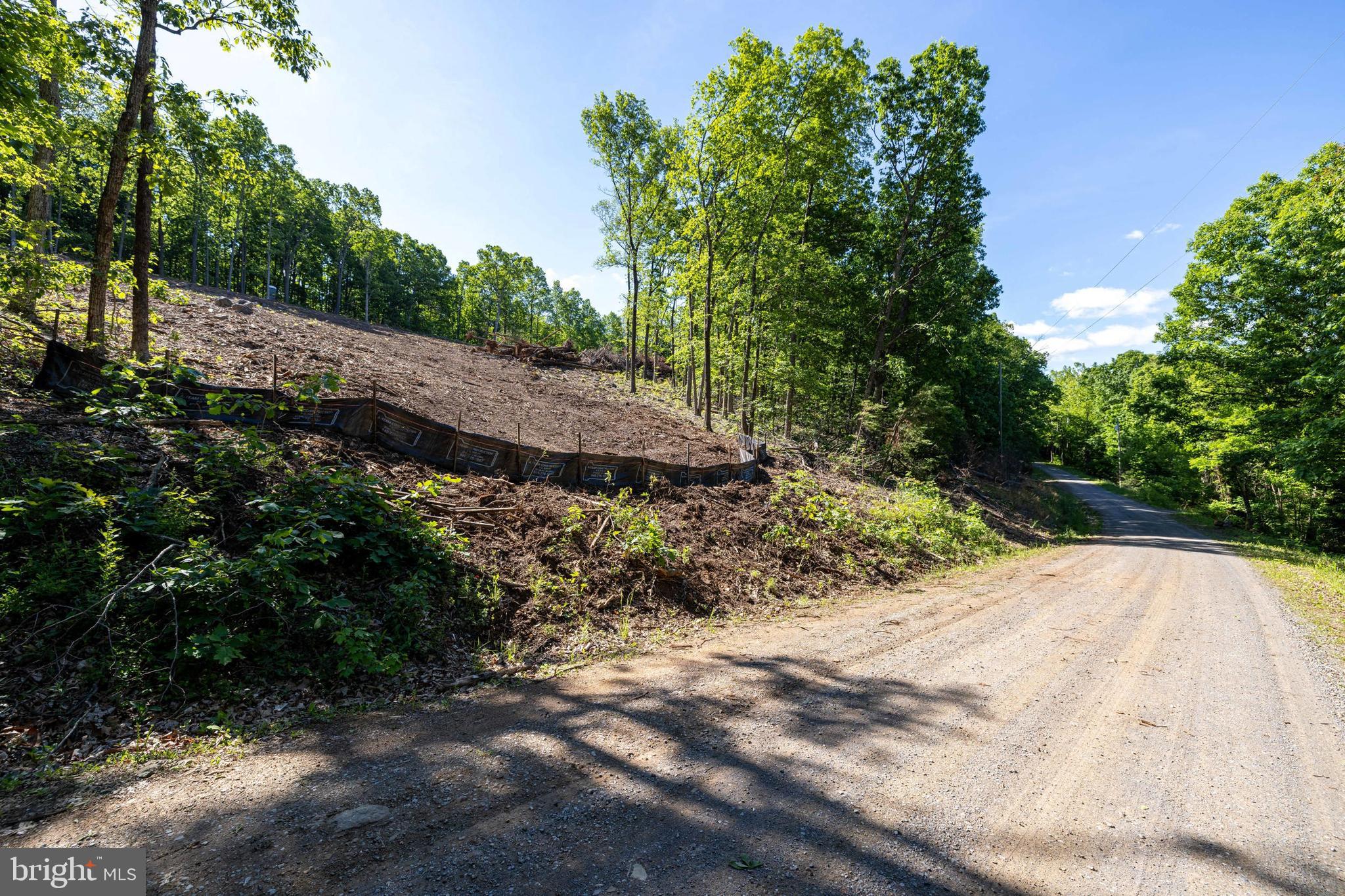 0 Cross Mountain Road Luray, VA 22835 - Photo 48 of 51