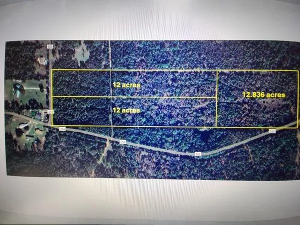 $114,900 | 0 County Road 353, Palestine, TX 75801