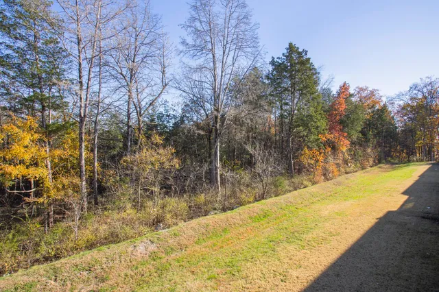 a view of swimming pool with large trees