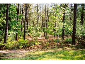 0 Cedar Meadows Road Aiken, SC 29803 - Photo 1 of 1 Main View