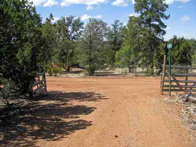 3320 Jeep Trail Overgaard, AZ 85933 - Photo 5 of 5