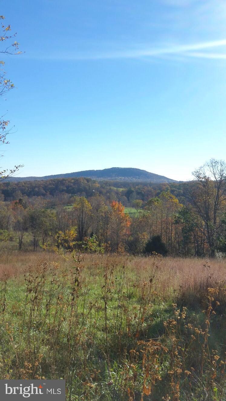 687 Scrabble Road Castleton, VA 22716 - Photo 2 of 13 a view of mountain with lake view